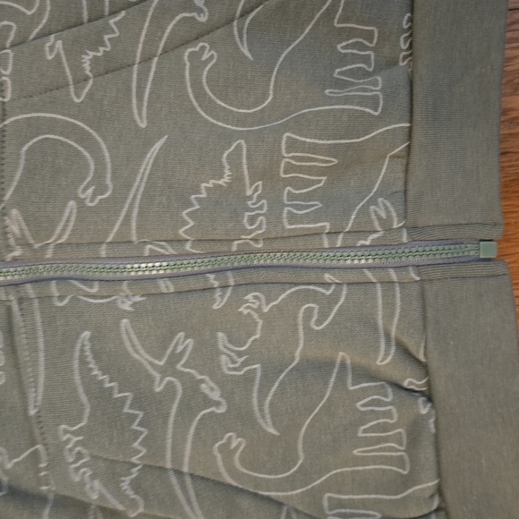 OKIE DOKIE TODDLER BOYS GREEN DINOSAUR ZIPPERED HOODIE SIZE 3T - Picture 8 of 8